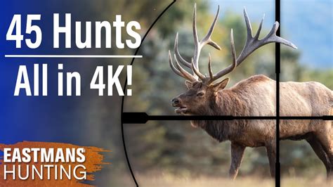 45 Amazing Hunts in 4K 